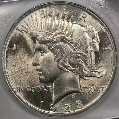 Morgan Silver Dollar (4)