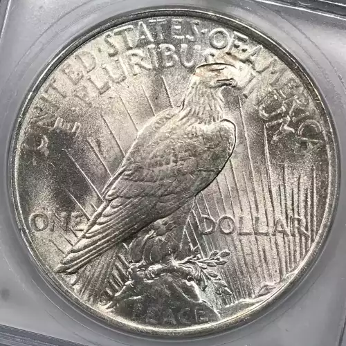 Morgan Silver Dollar (2)