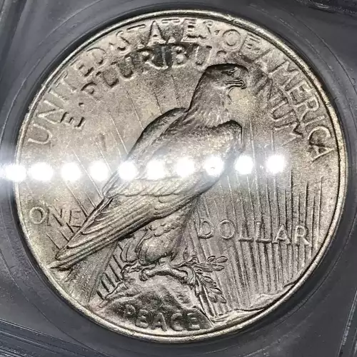 Morgan Silver Dollar (5)