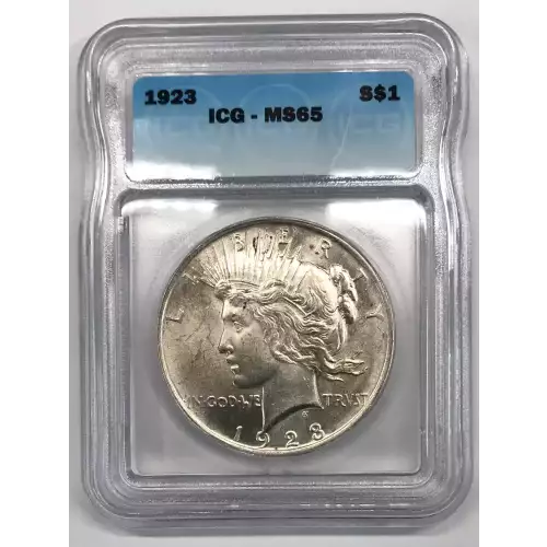 Morgan Silver Dollar (2)