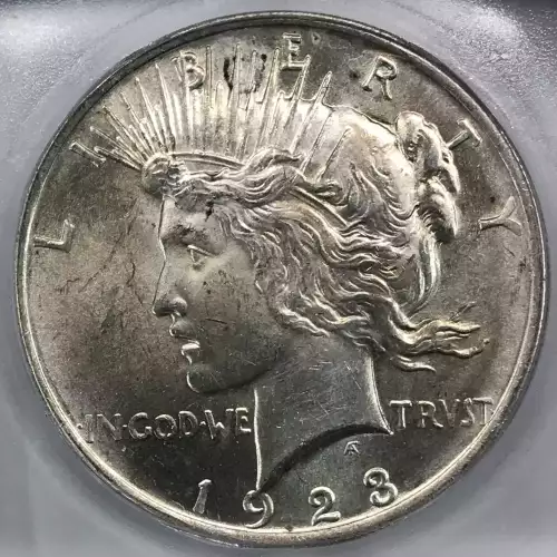 Morgan Silver Dollar (5)