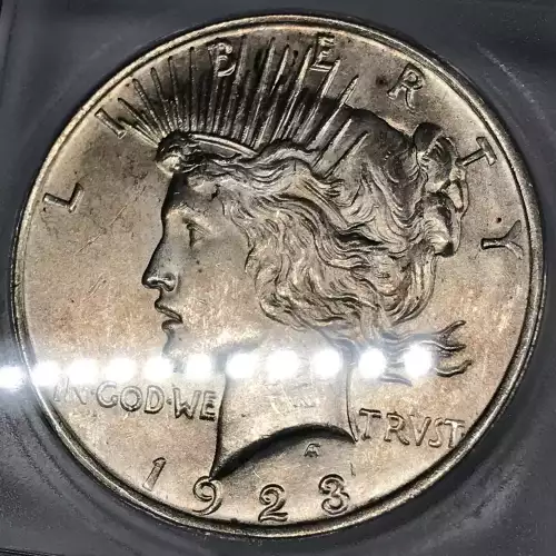 Morgan Silver Dollar (4)