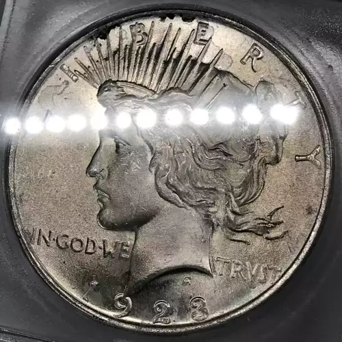 Morgan Silver Dollar (4)