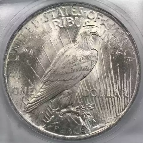 Morgan Silver Dollar (5)