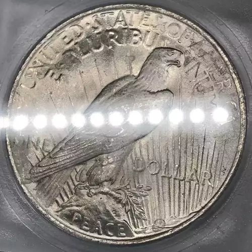 Morgan Silver Dollar (2)