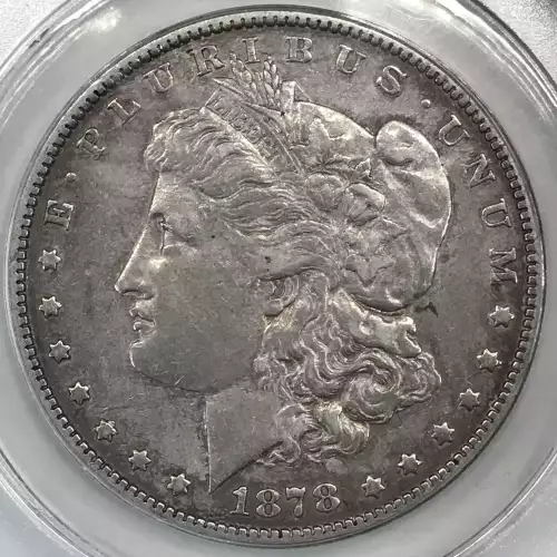Morgan Silver Dollar (2)