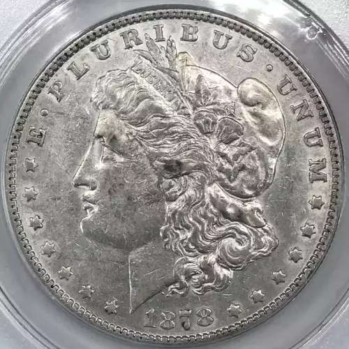 Morgan Silver Dollar (5)
