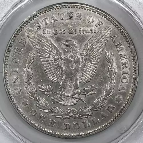 Morgan Silver Dollar (2)