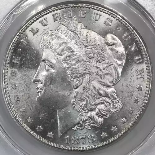 Morgan Silver Dollar (4)