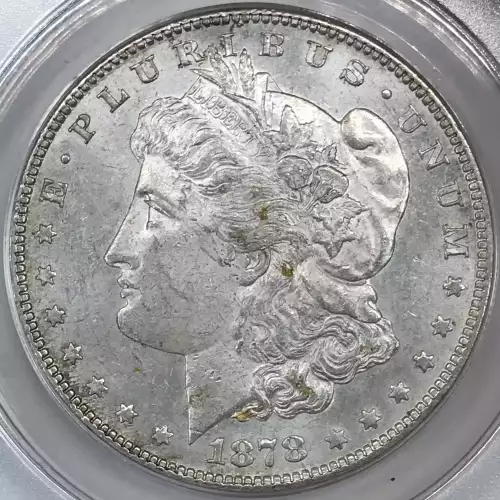 Morgan Silver Dollar (4)