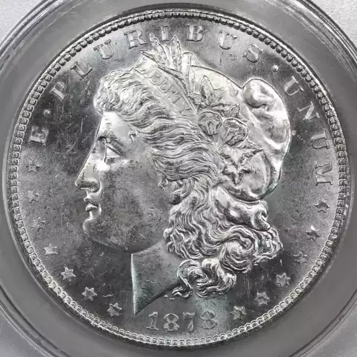 Morgan Silver Dollar (5)