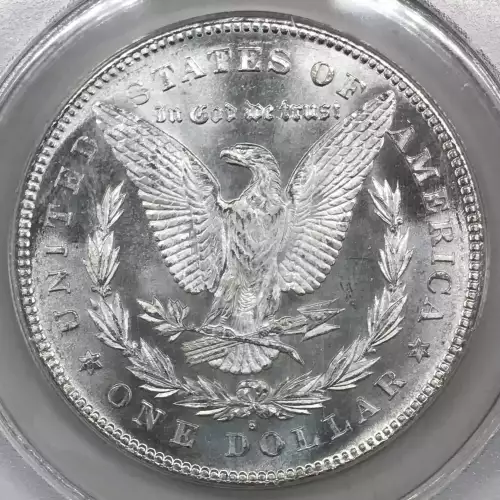 Morgan Silver Dollar (2)