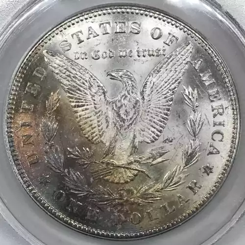 Morgan Silver Dollar (5)