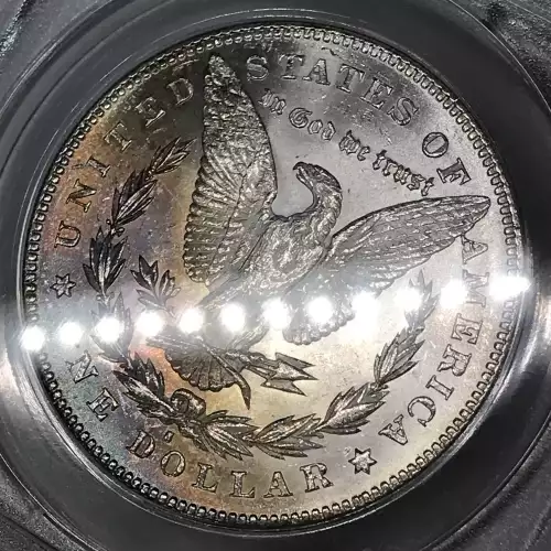 Morgan Silver Dollar (4)