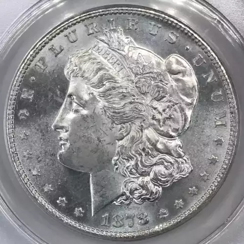 Morgan Silver Dollar (5)