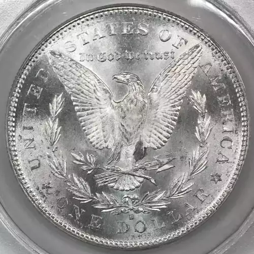 Morgan Silver Dollar (4)