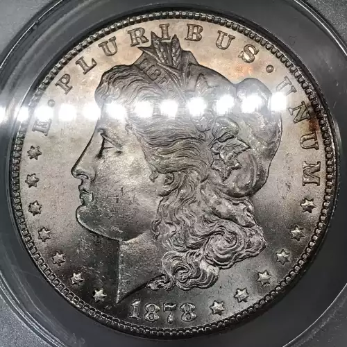 Morgan Silver Dollar (5)