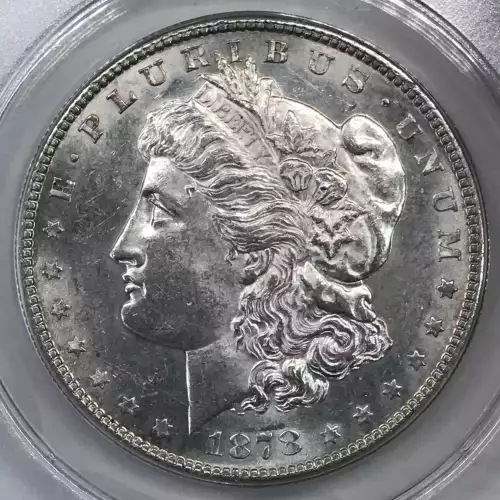 Morgan Silver Dollar (5)