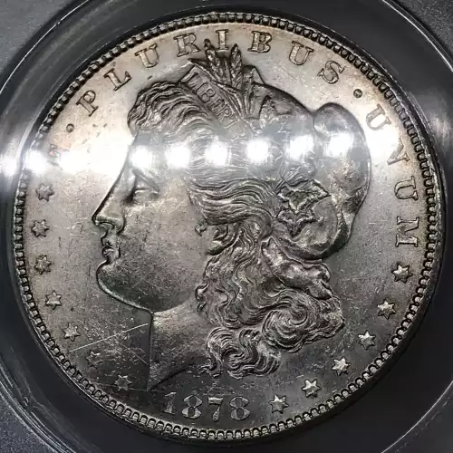 Morgan Silver Dollar (4)