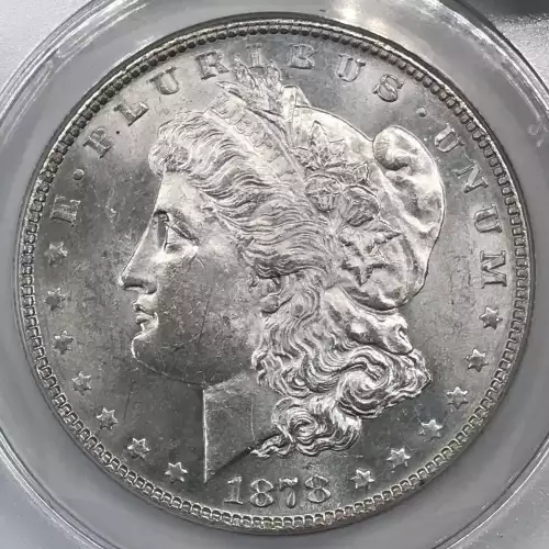 Morgan Silver Dollar (5)