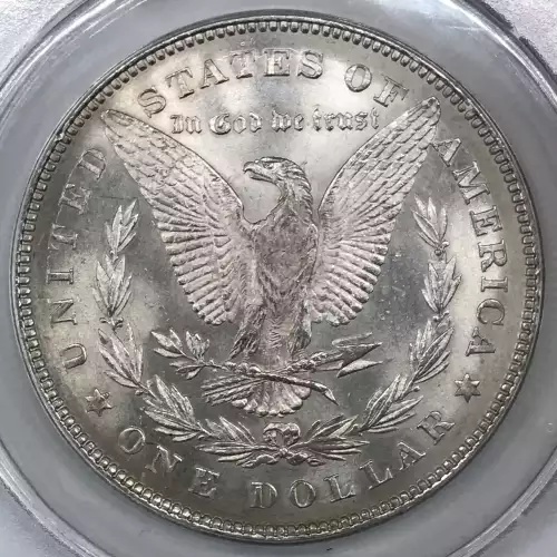 Morgan Silver Dollar (4)