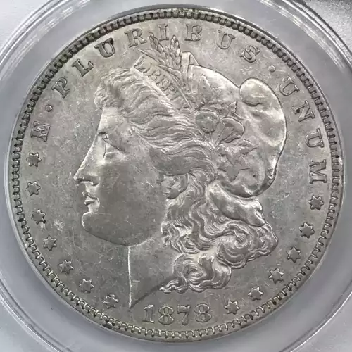 Morgan Silver Dollar (4)
