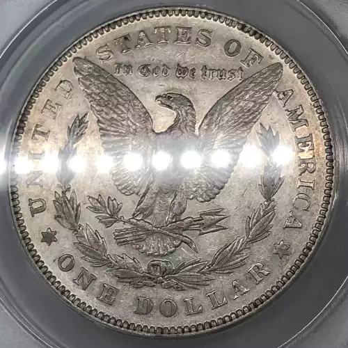 Morgan Silver Dollar (2)