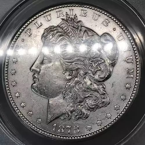 Morgan Silver Dollar (4)