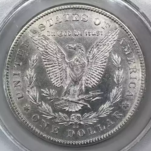 Morgan Silver Dollar (2)