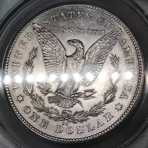 Morgan Silver Dollar (5)