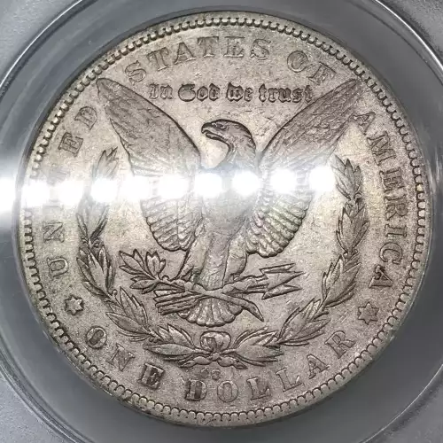 Morgan Silver Dollar (5)