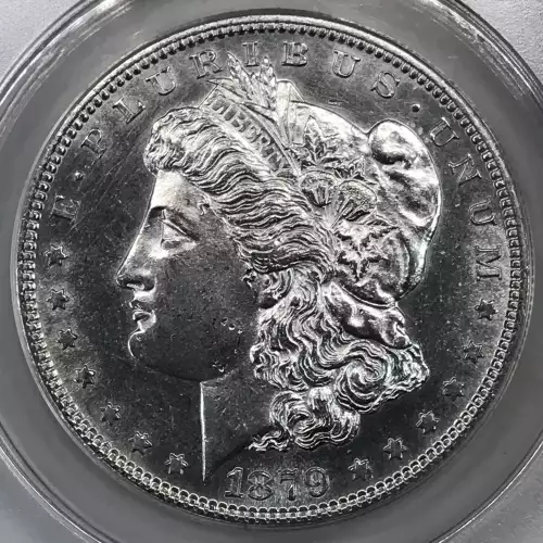 Morgan Silver Dollar (4)