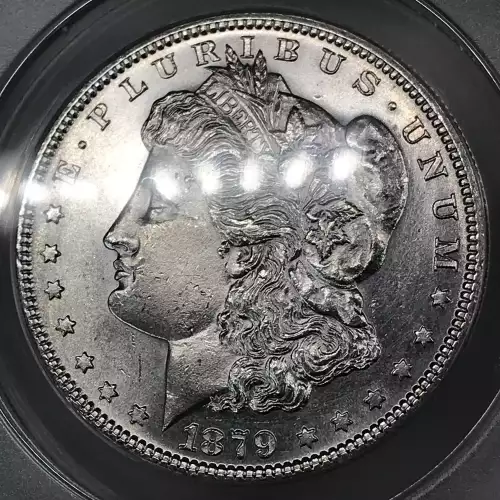 Morgan Silver Dollar (5)