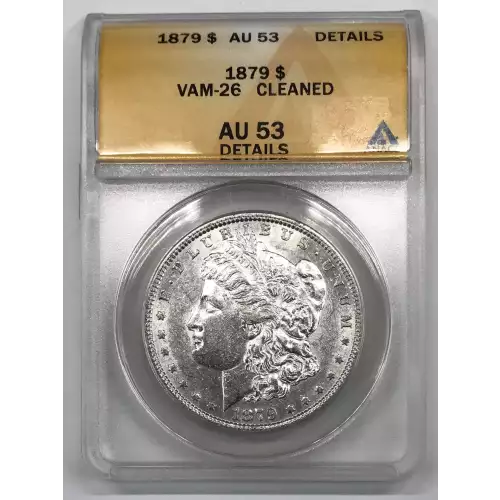 Morgan Silver Dollar (2)