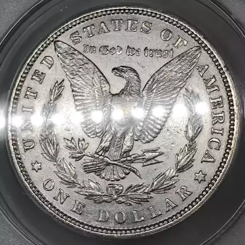 Morgan Silver Dollar