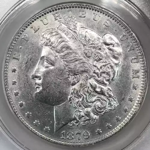 Morgan Silver Dollar (5)