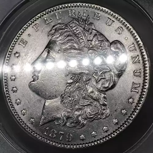 Morgan Silver Dollar (2)