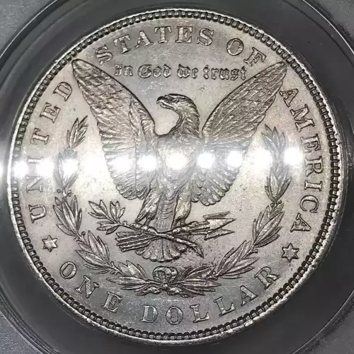 Morgan Silver Dollar (4)