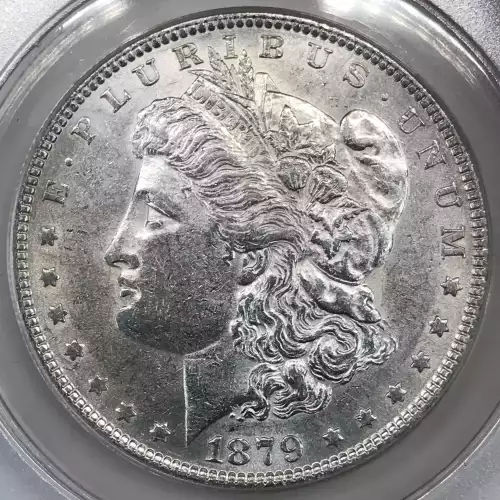 Morgan Silver Dollar (4)