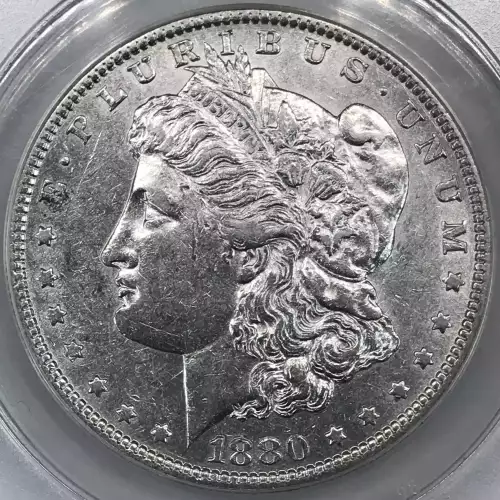 Morgan Silver Dollar (2)