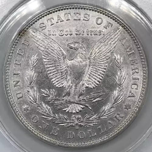 Morgan Silver Dollar (4)