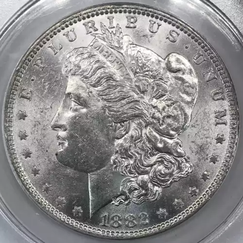 Morgan Silver Dollar (4)