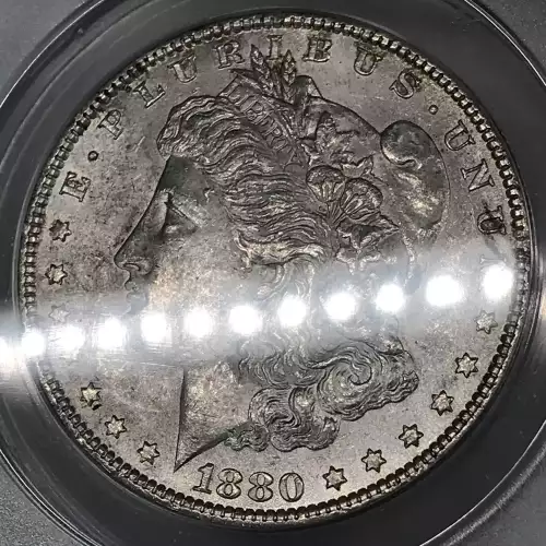 Morgan Silver Dollar (5)