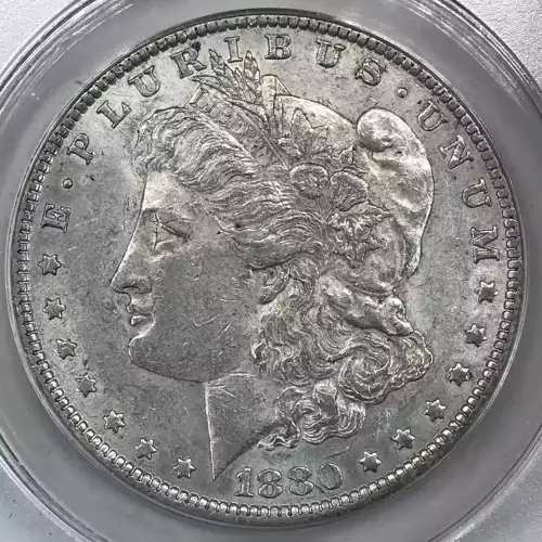 Morgan Silver Dollar (4)