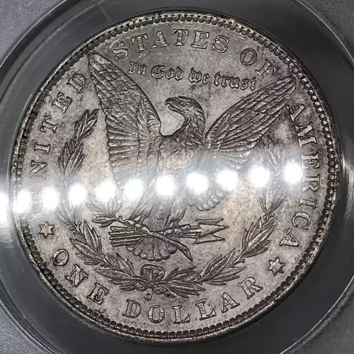 Morgan Silver Dollar (5)