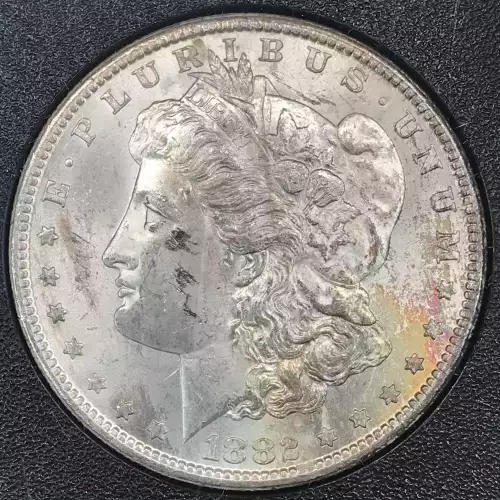 Morgan Silver Dollar (4)