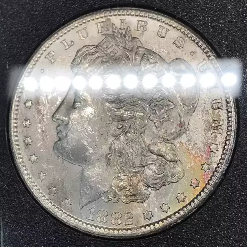 Morgan Silver Dollar (2)