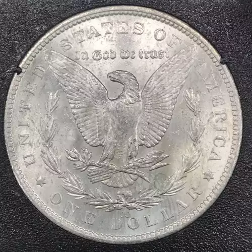 Morgan Silver Dollar (5)