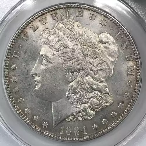 Morgan Silver Dollar (5)