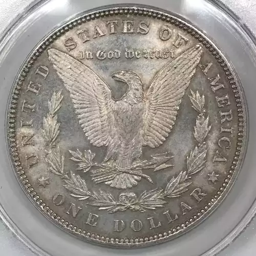 Morgan Silver Dollar (4)